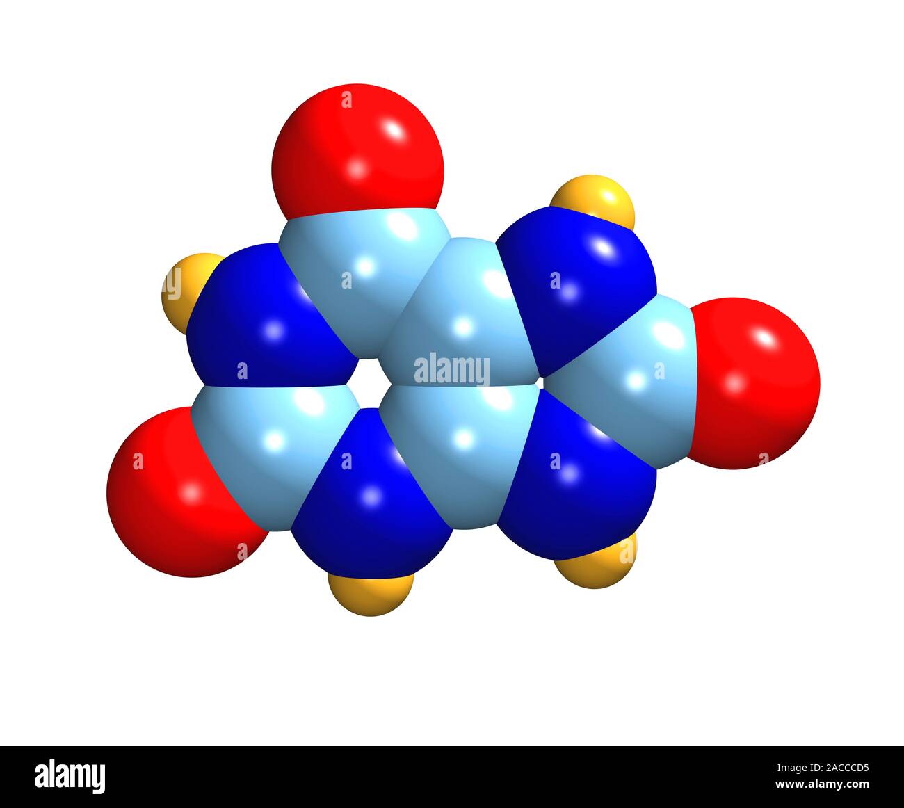 Uric acid. Molecular model of uric acid, a waste compound that is produced during the digestion