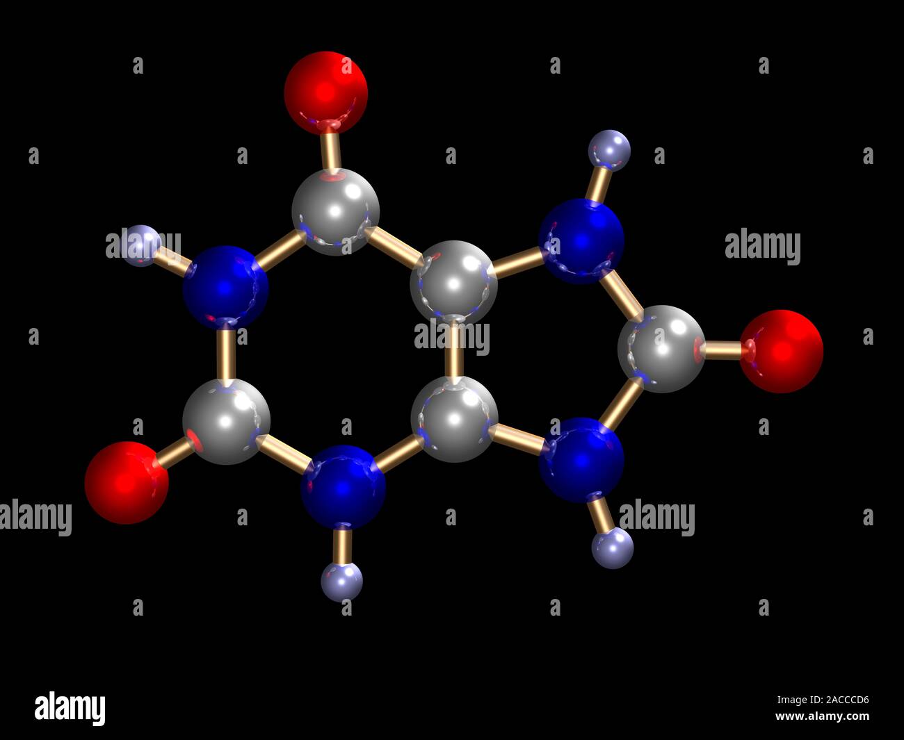 Uric acid. Molecular model of uric acid, a waste compound that is produced during the digestion