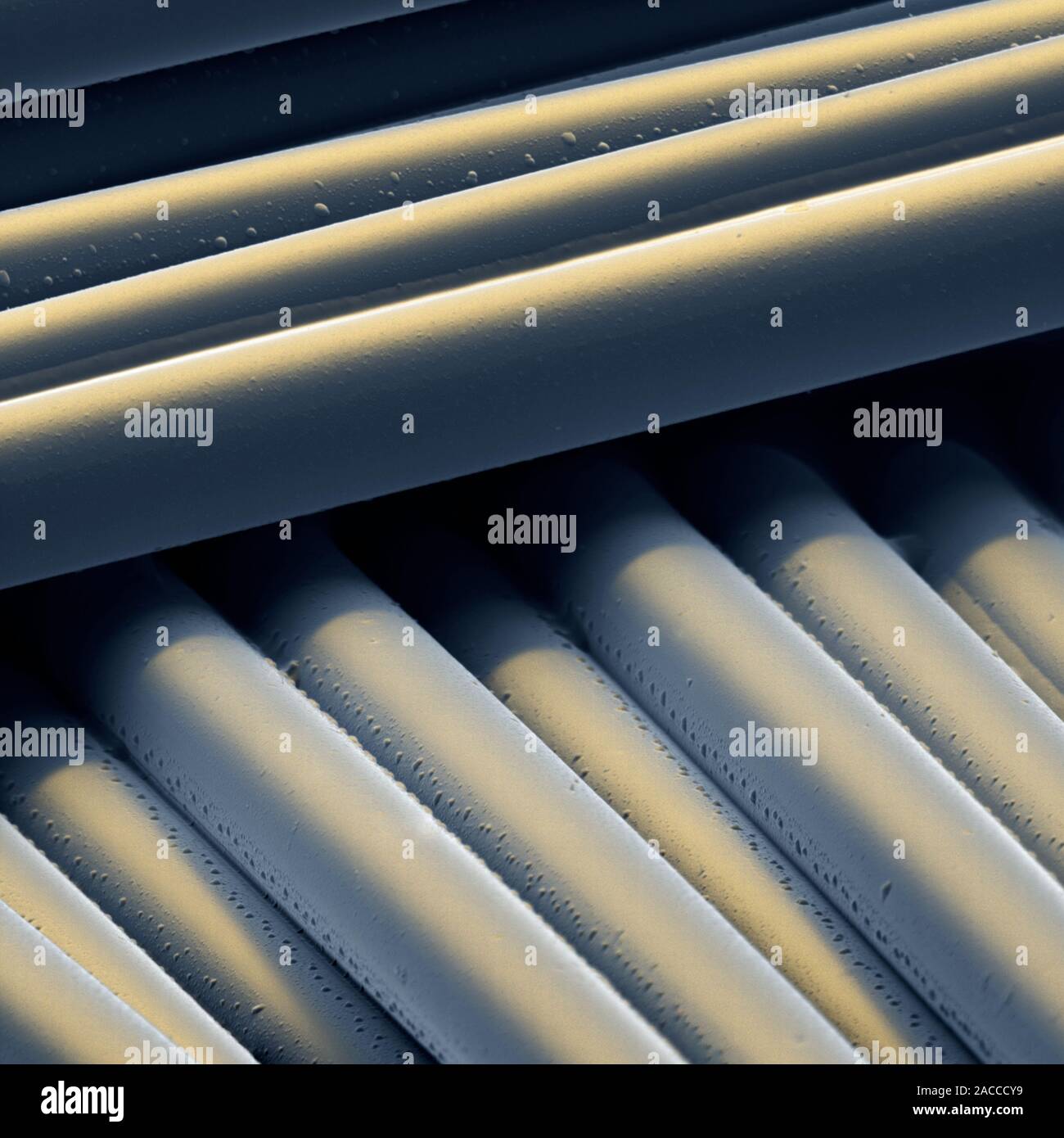 Glass fibres. Coloured scanning electron micrograph (SEM) of glass fibres (rod shapes). Glass fibres are often used as a reinforcing agent. They are w Stock Photo