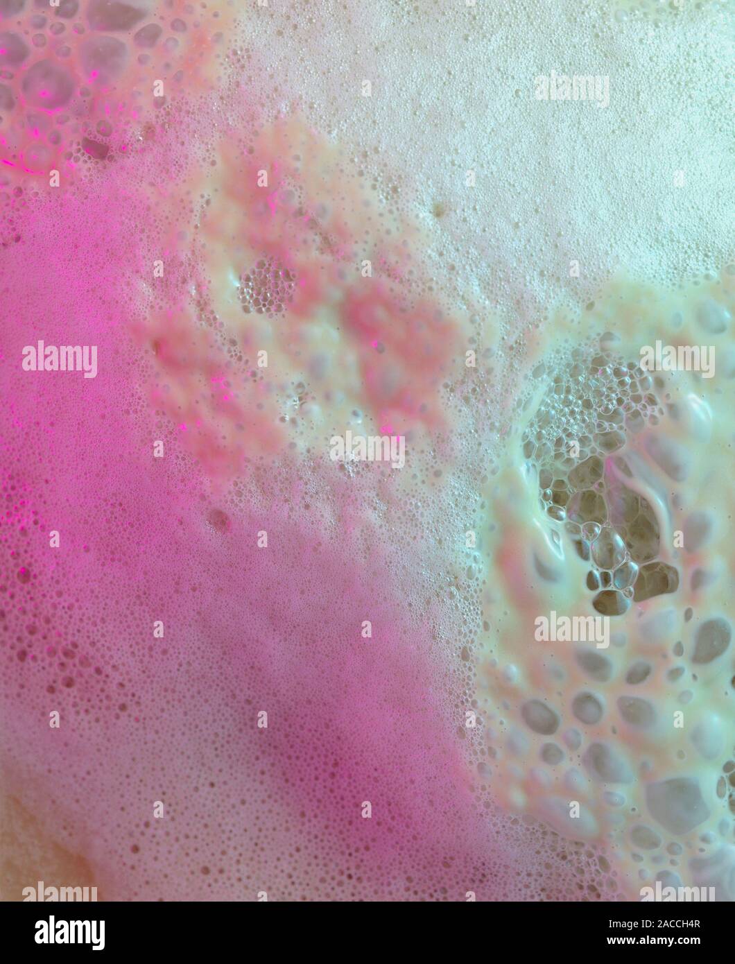 Yeast fermentation. Froth produced by Baker's or Brewer's yeast