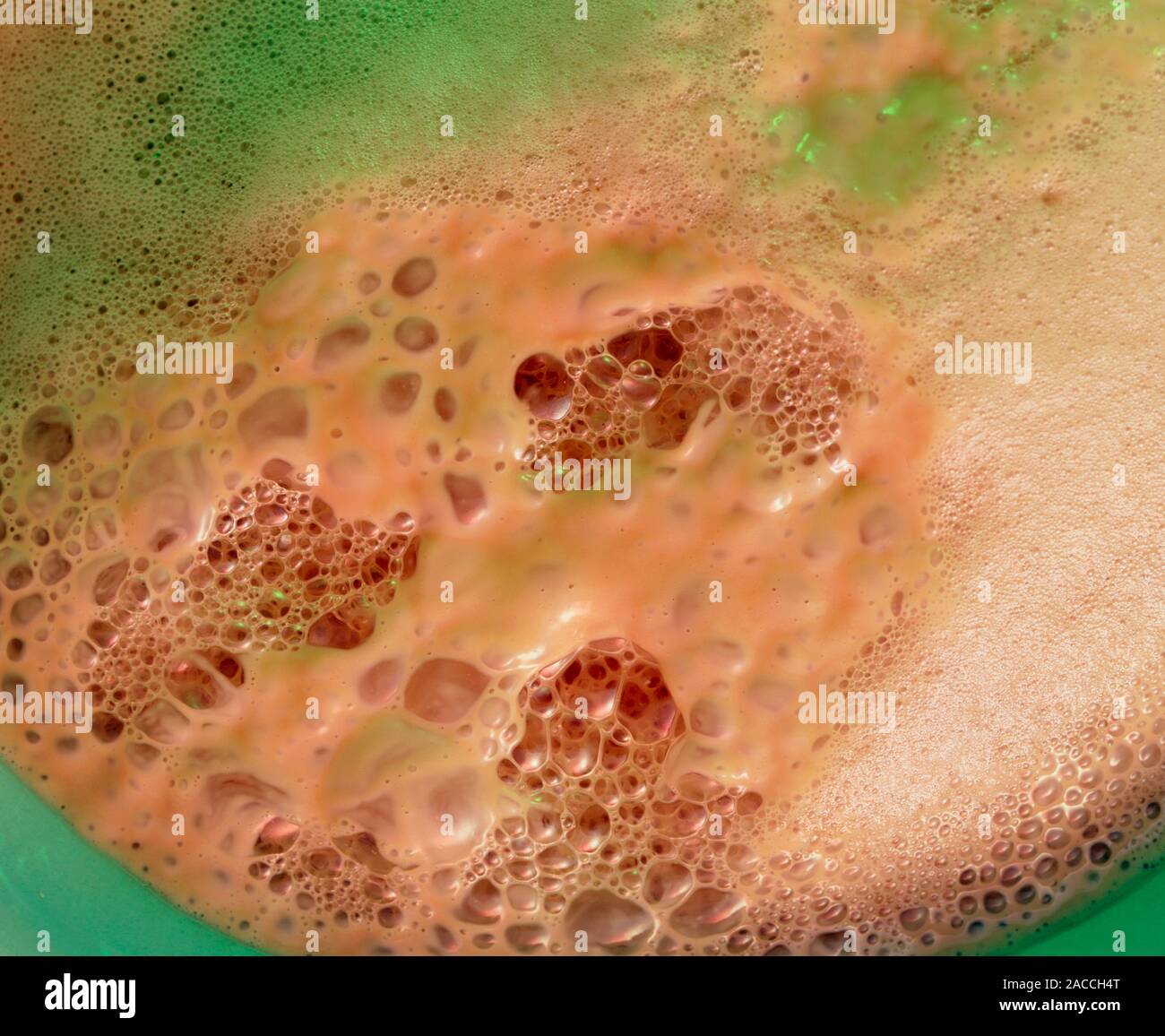Yeast fermentation. Froth produced by Baker's or Brewer's yeast