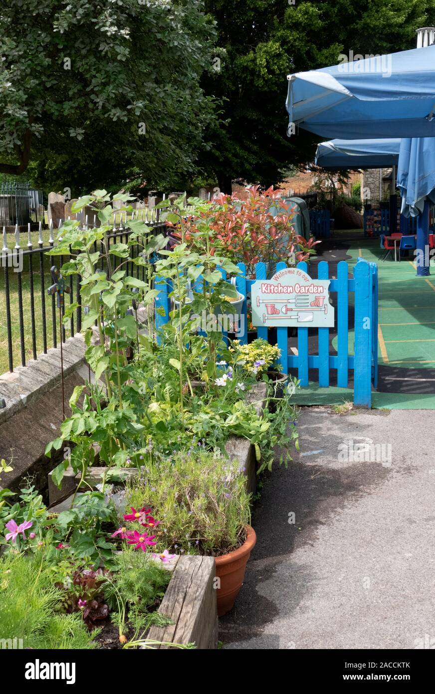 Farnham in Bloom. Surrey town of Farnham holds it's annual flower and plant competition 2019