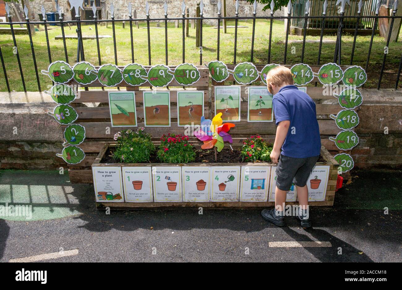 Farnham in Bloom. Surrey town of Farnham holds it's annual flower and plant competition 2019