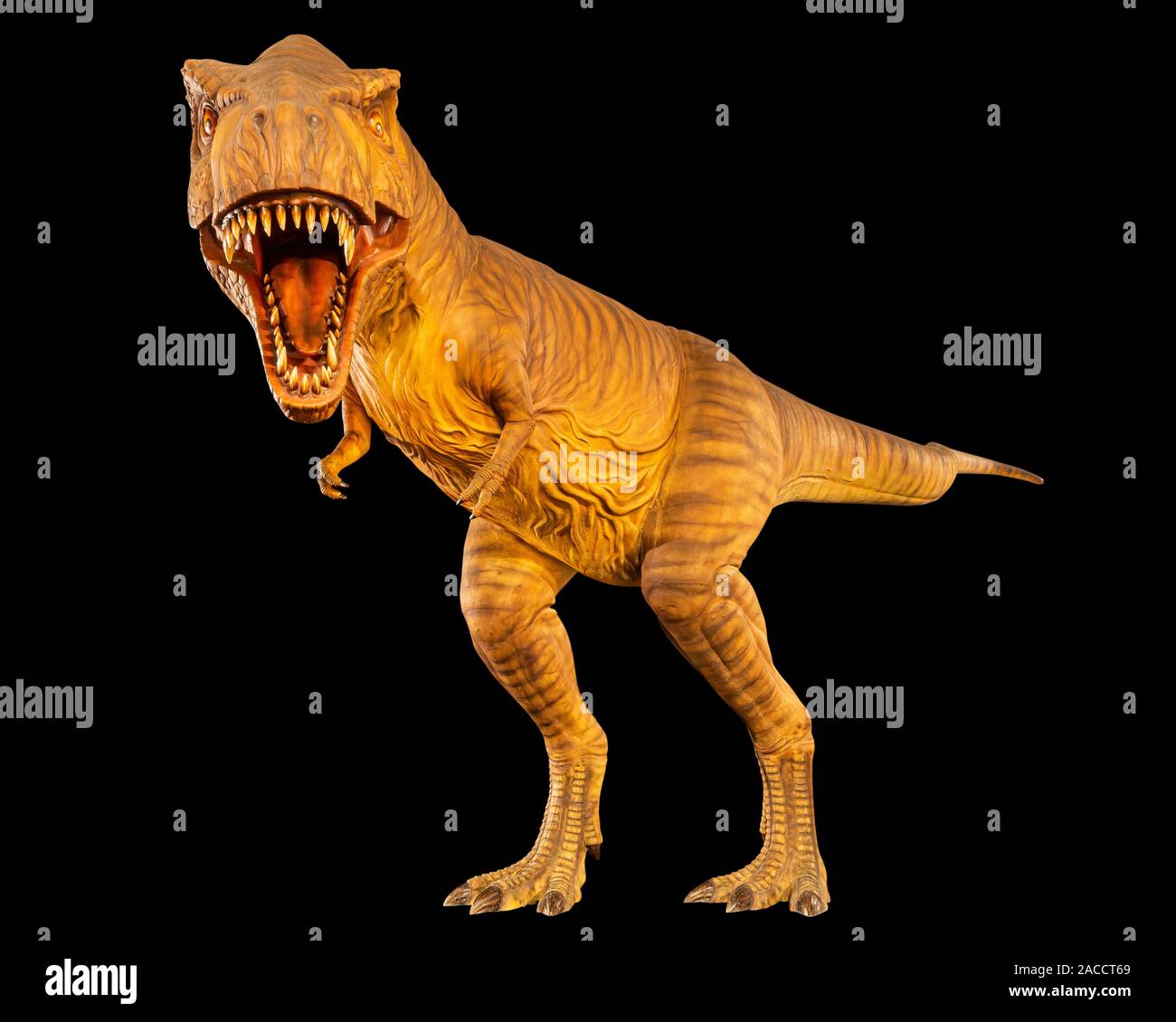 T-rex dinosaur running. Photorealistic 3d illustration side view. On white  background. Clipping path included Stock Photo - Alamy