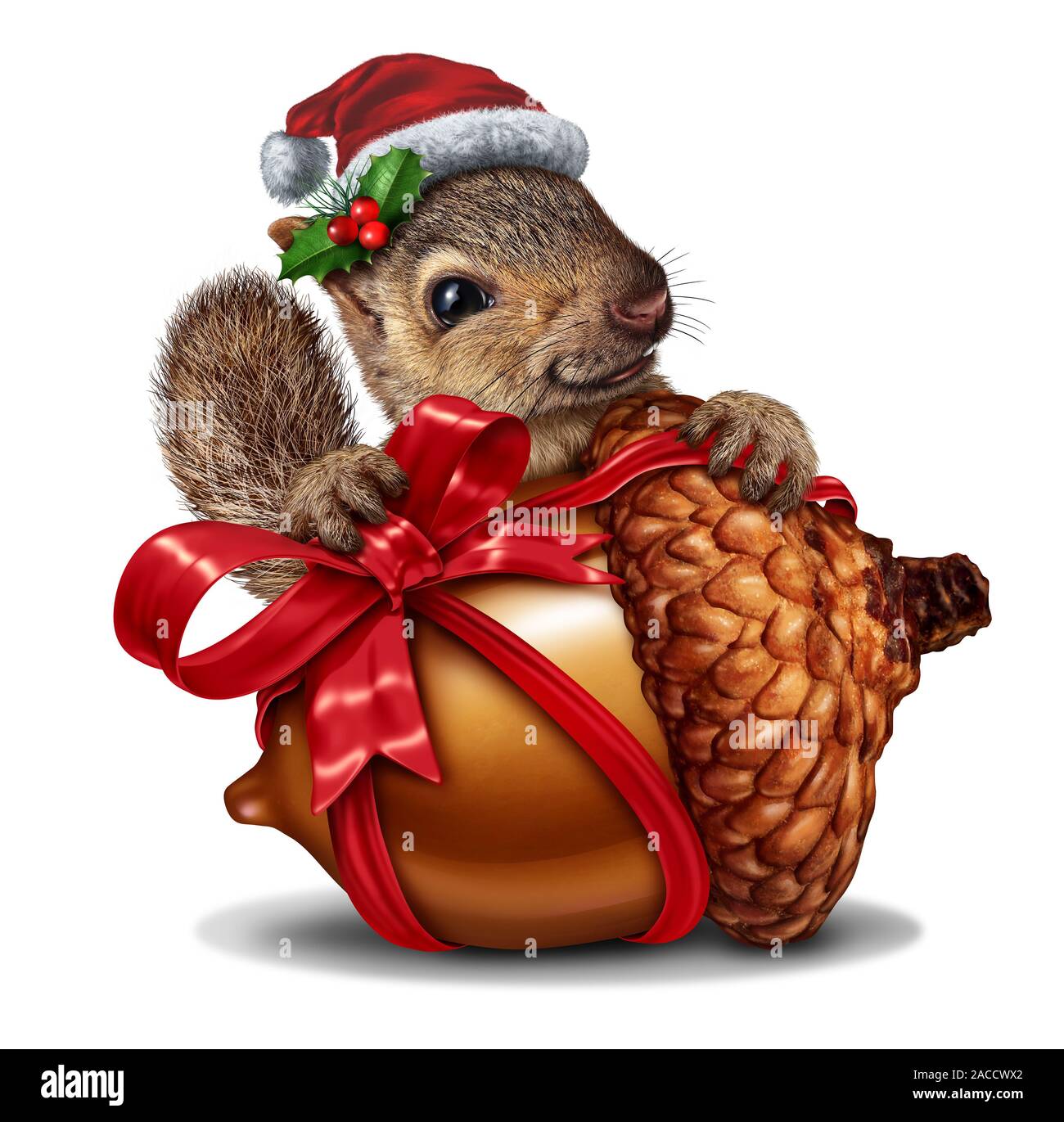 Christmas squirrel gift as a funny and cute animal holding a giant acorn tree nut with a red festive bow as a holiday symbol representing joy. Stock Photo