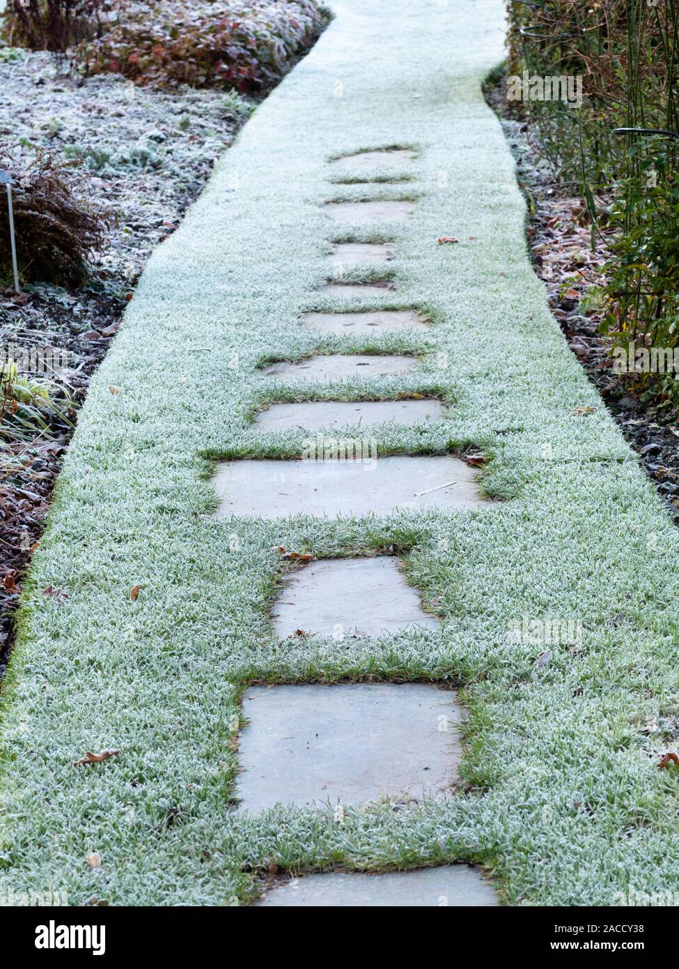 Stepping stones through a frosty grass path at The Garden House, Buckland Monachorum, Devon, UK Stock Photo