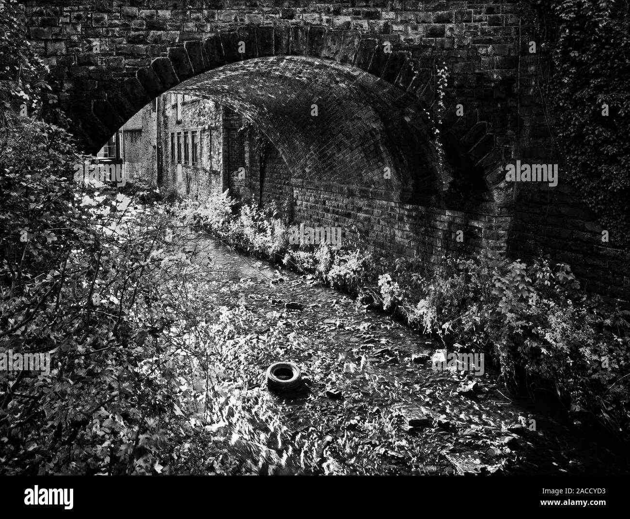 Debris dumped in Green Brook, under a railway arch near the River Calder, in Padiham, Lancashire Stock Photo