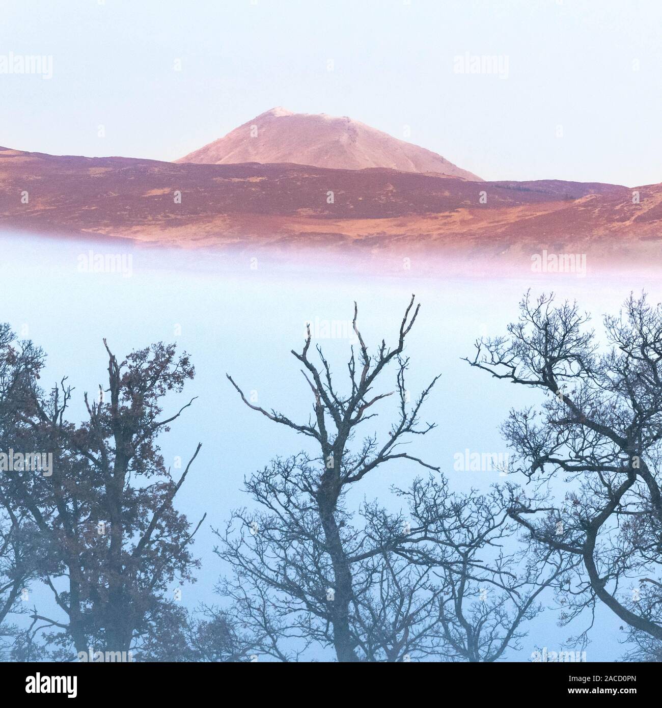 Ben Lomond misty winter sunrise, Loch Lomond and the Trossachs National Park, Scotland, UK Stock