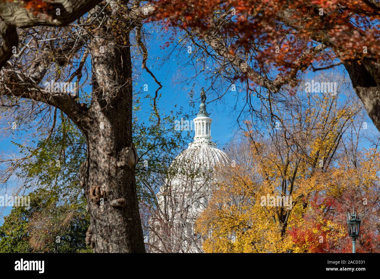 Washington, DC - The U.S. Capitol. Stock Photo