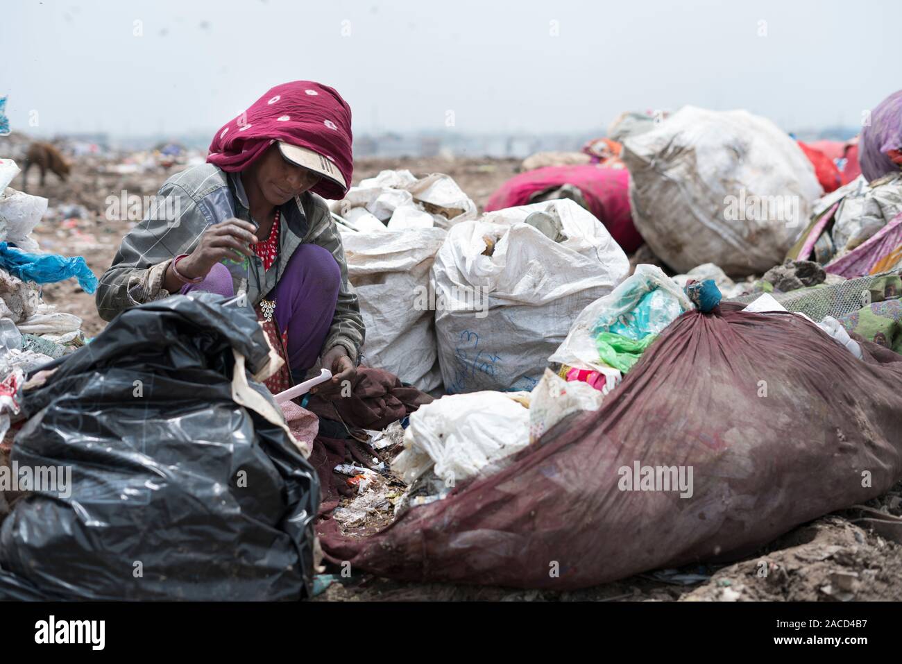 Piranha garbage dump site at Ahmedabad, Gujarat, India Stock Photo Alamy