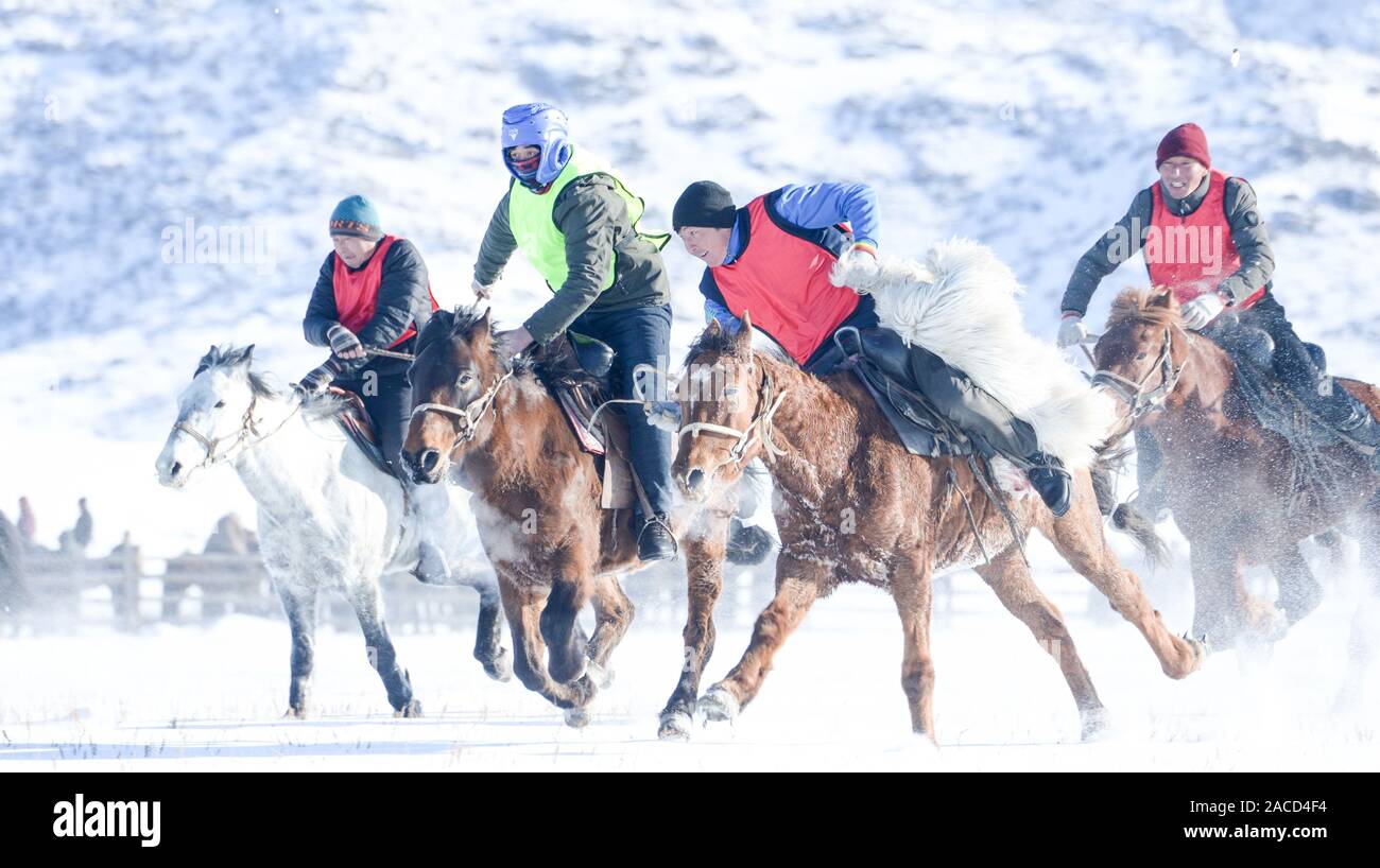 Sheep racing festival hi-res stock photography and images - Alamy