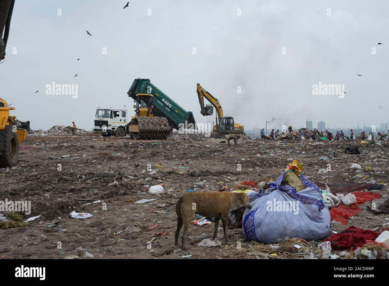 Piranha garbage dump site at Ahmedabad, Gujarat, India Stock Photo Alamy