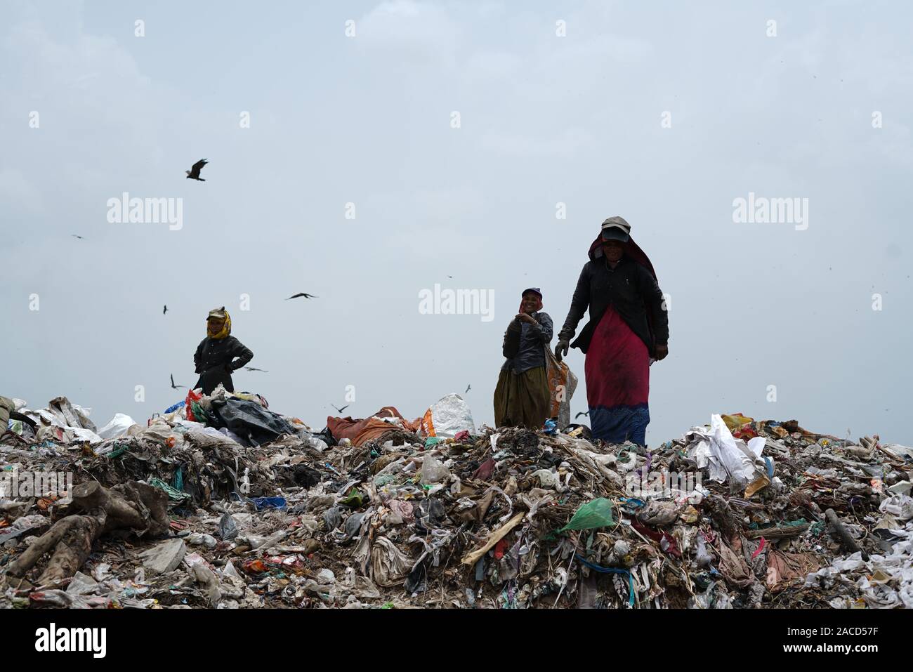 Piranha garbage dump site at Ahmedabad, Gujarat, India Stock Photo Alamy