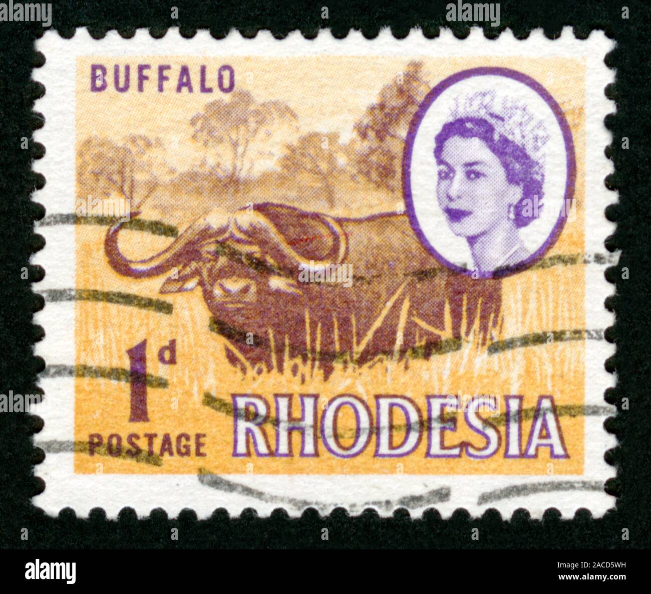 Old rhodesia buffalo postage stamp hi-res stock photography and images ...