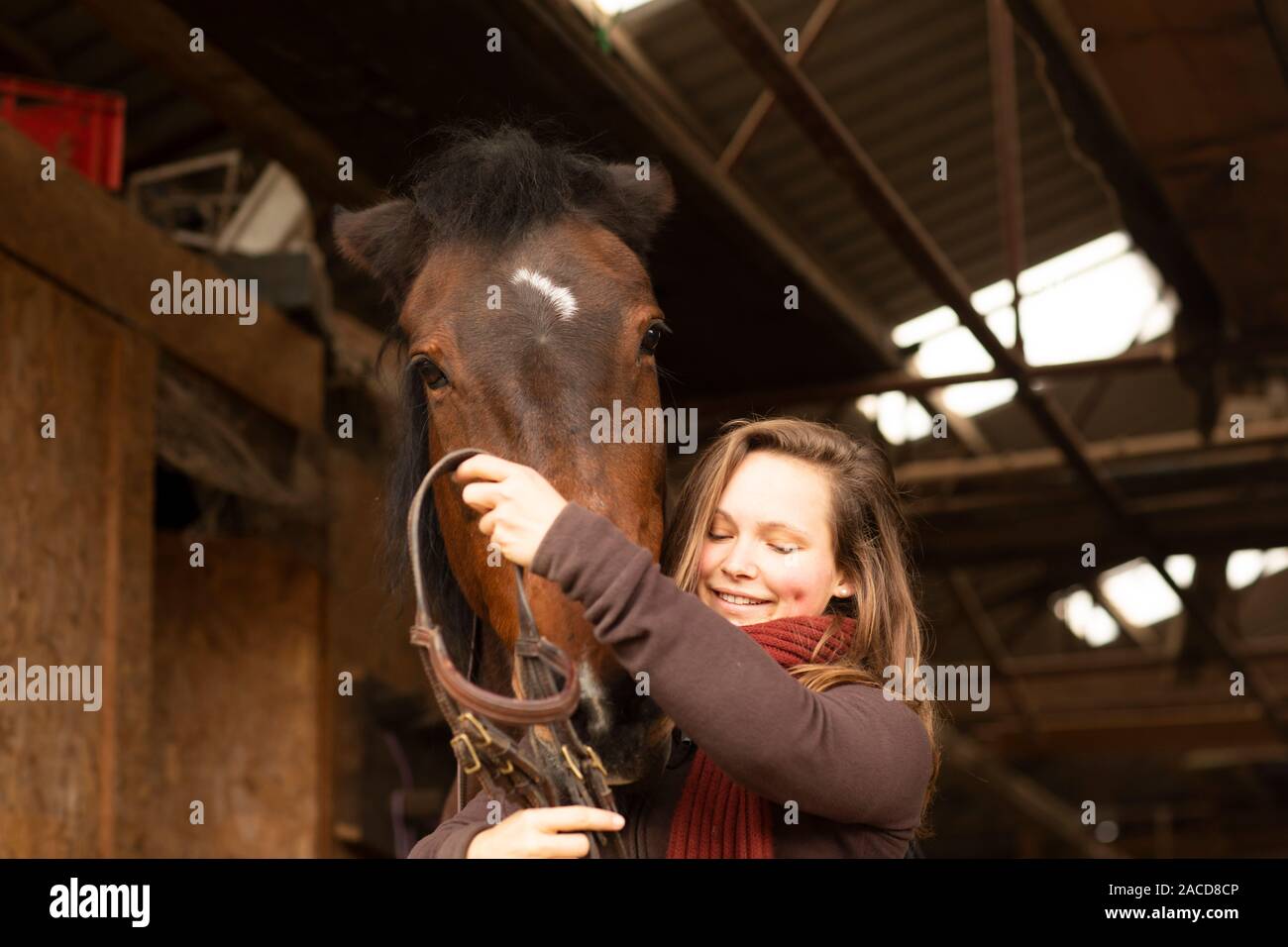 Horse Bridles High Resolution Stock Photography And Images Alamy