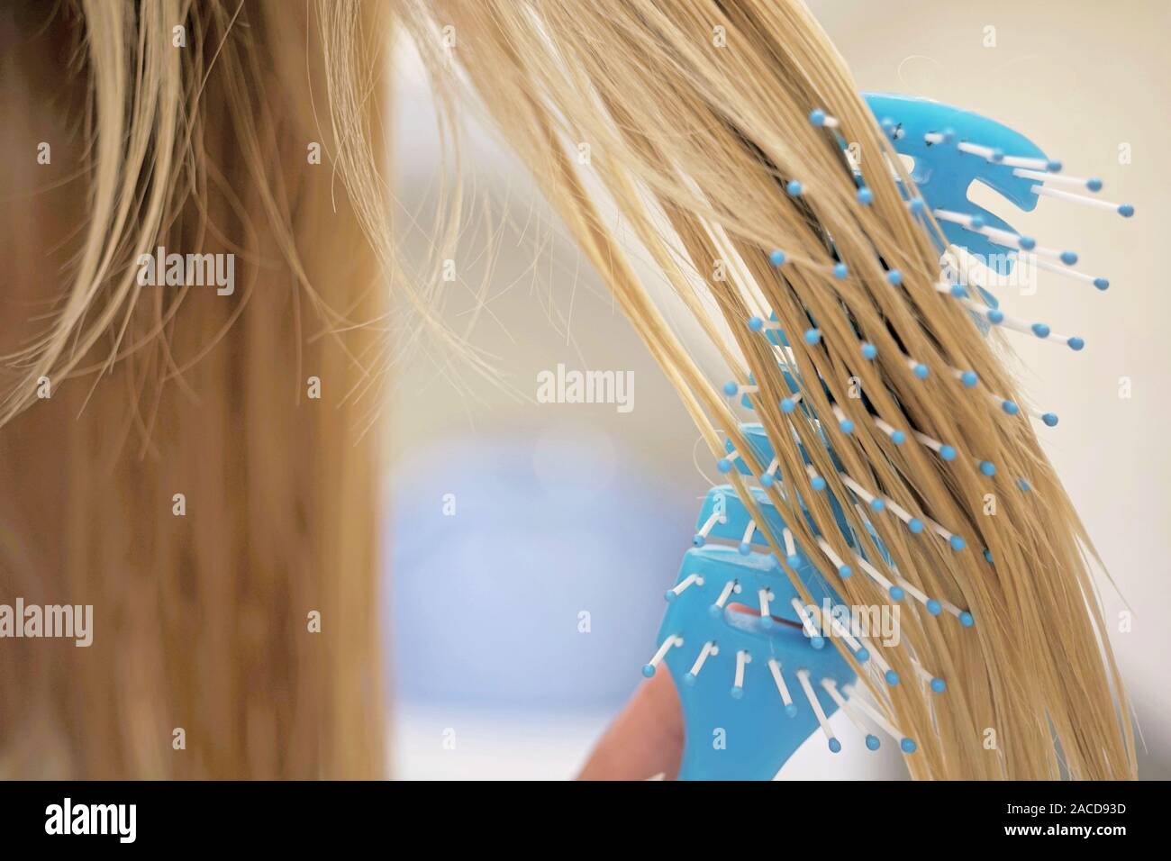 Young girl combing her wet blond hair with a blue comb. Stock Photo