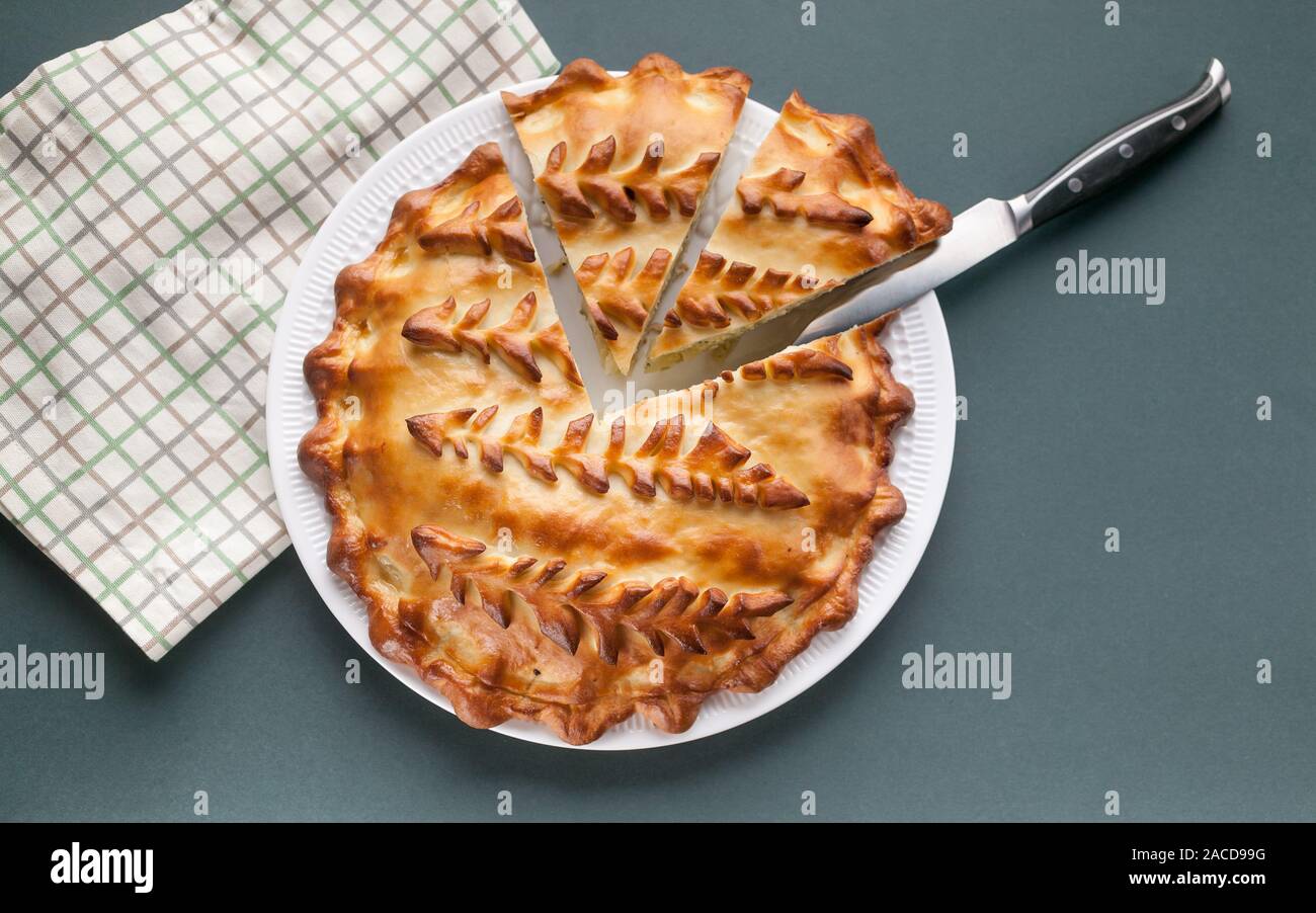 Top view homemade cabbage pie in a color background. Russian and Ukrainian traditional cuisine. Web banner format. Food Delivery Concept. Stock Photo