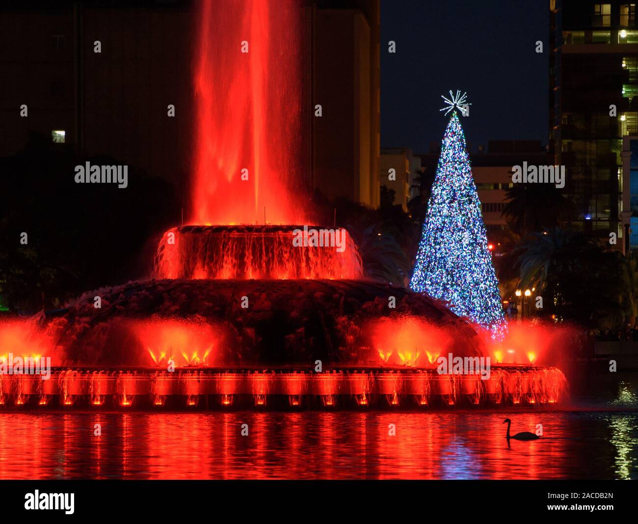 The Lake Eola Park Christmas tree lights change color with the colorful