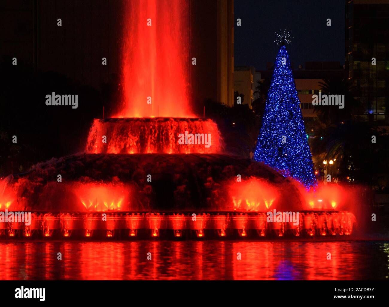 The Lake Eola Park Christmas tree lights change color with the colorful