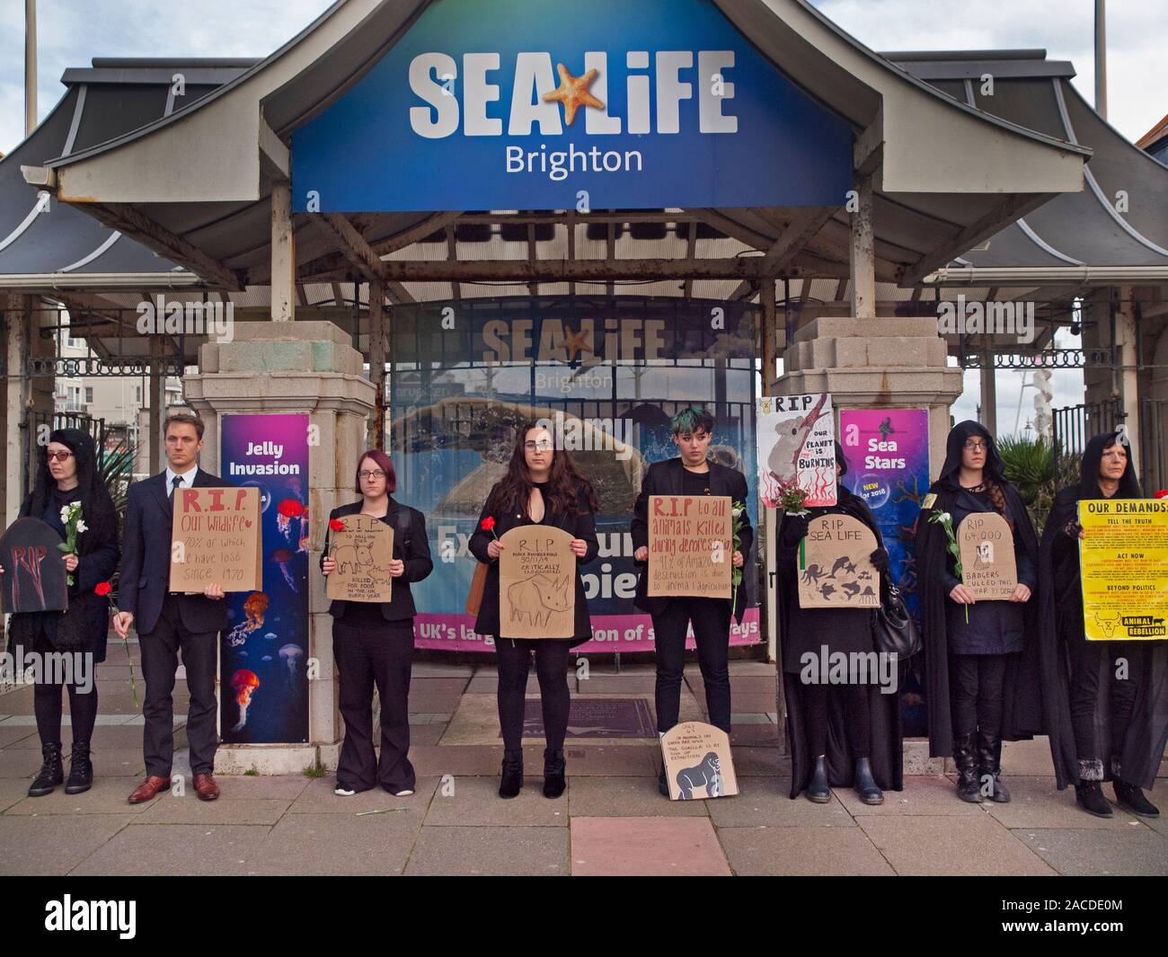 A protest by Animal Rebellion, held outside the Brighton Aquarium Stock