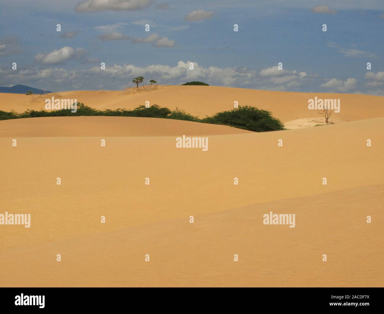 Dunes of Medanos de Coro National Park in Coro in Falcon State in
