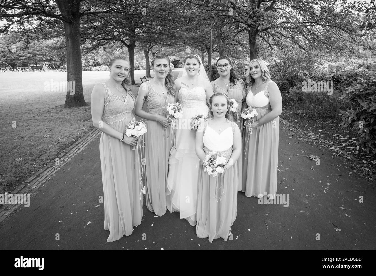 bridesmaid dresses stoke on trent Romantic V-Neck Bridesmaid Gown with Lantern Sleeves and Pleated Waist