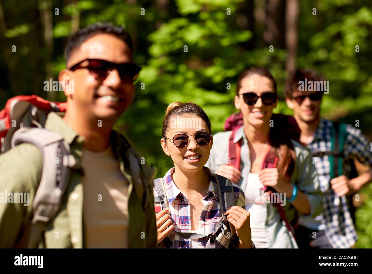 group of friends with backpacks hiking in forest Stock Photo - Alamy