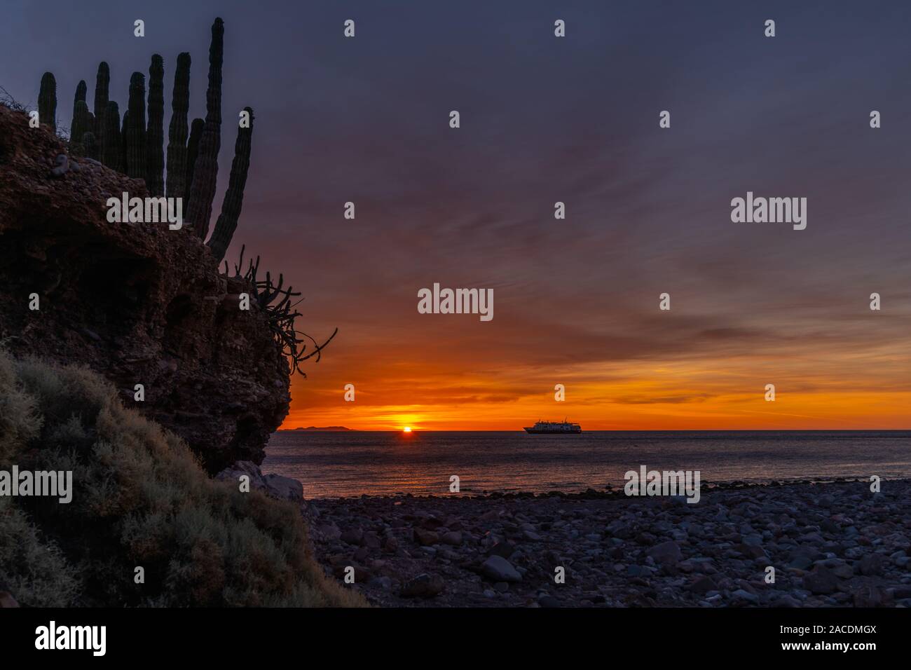 The sun peaks through a cardon cactus at sunrise at San Esteban Island with the ship National Geographic Venture at anchor in the Sea of Cortez. Stock Photo