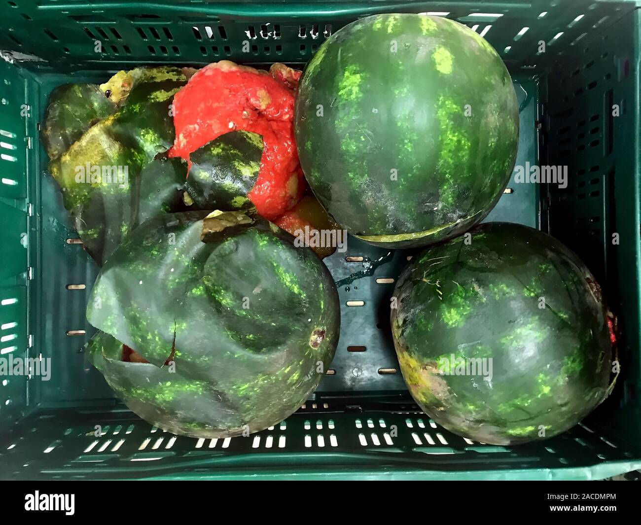 Group of damaged melons in the crate, top view Stock Photo Alamy