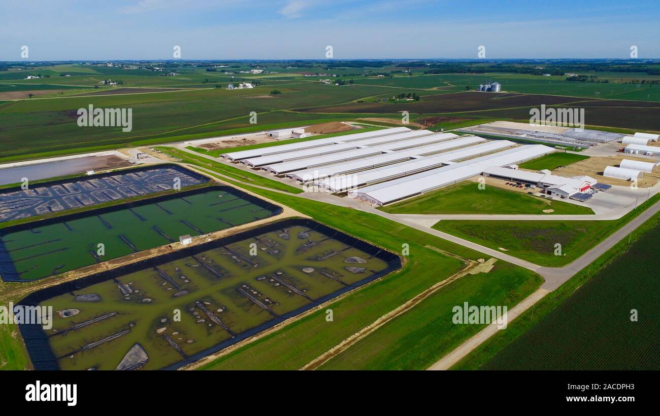 Mega factory farm hires stock photography and images Alamy