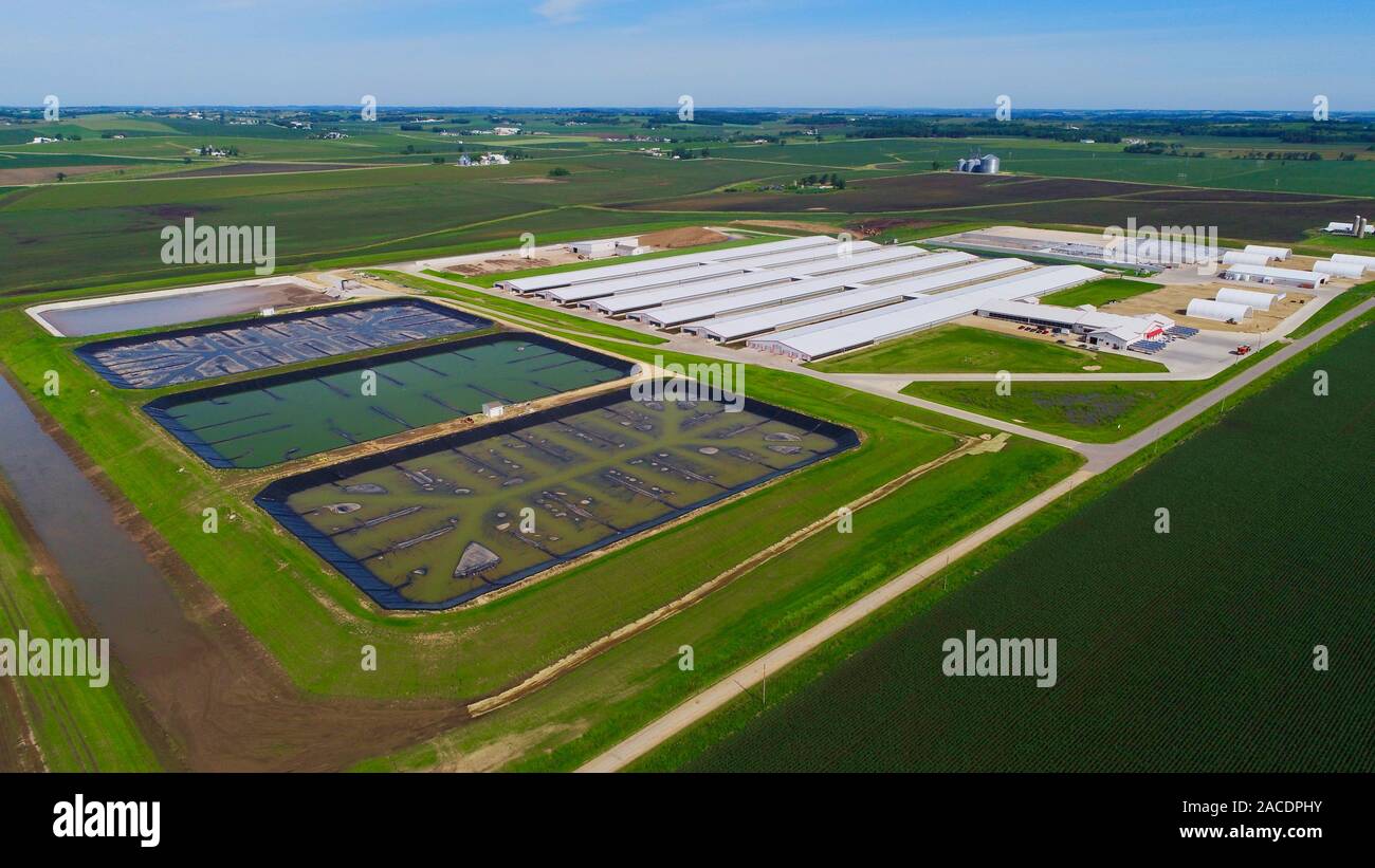 Aerial view of Confined or Concentrated Animal Feeding Operation (CAFO