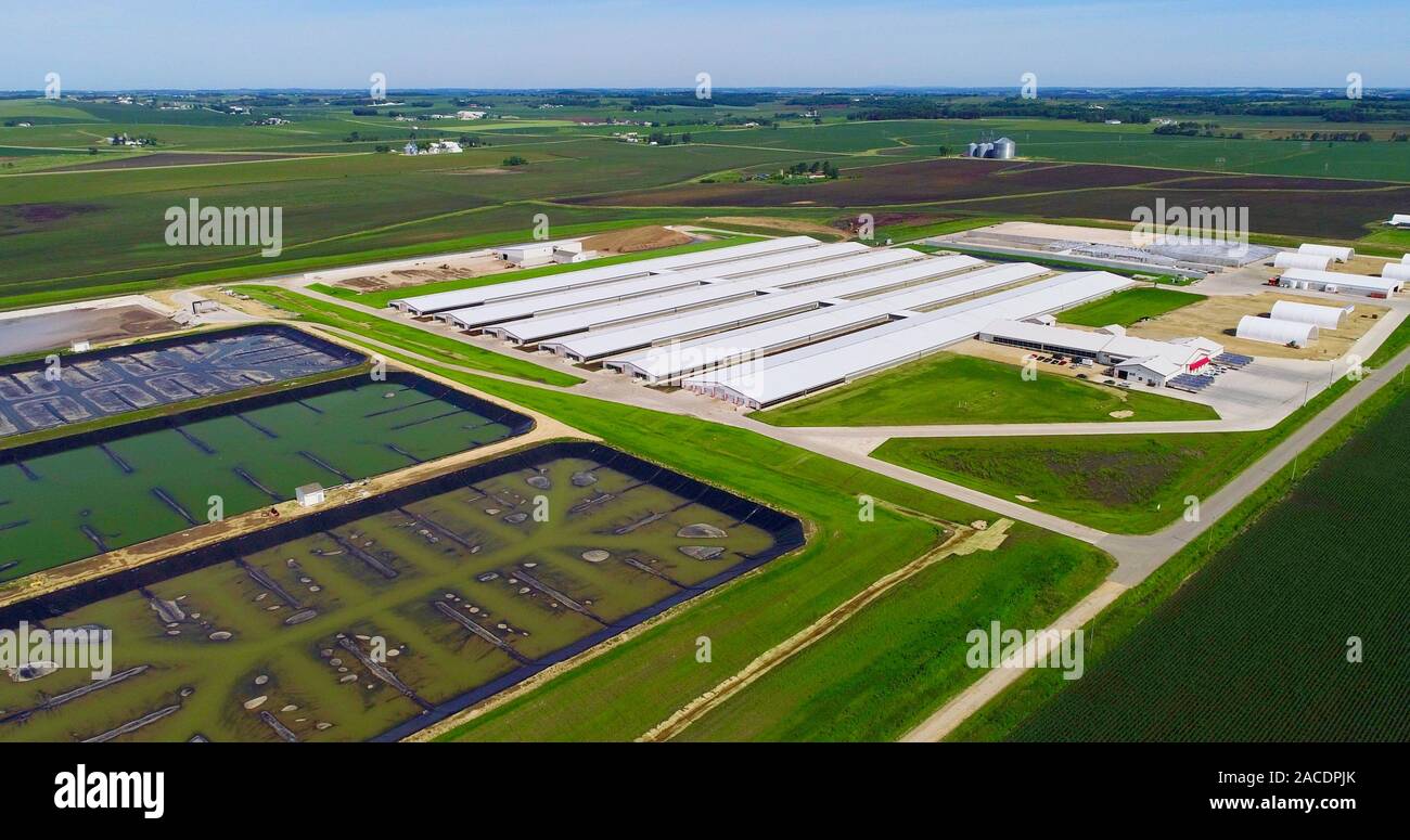 Aerial view of Confined or Concentrated Animal Feeding Operation (CAFO ...