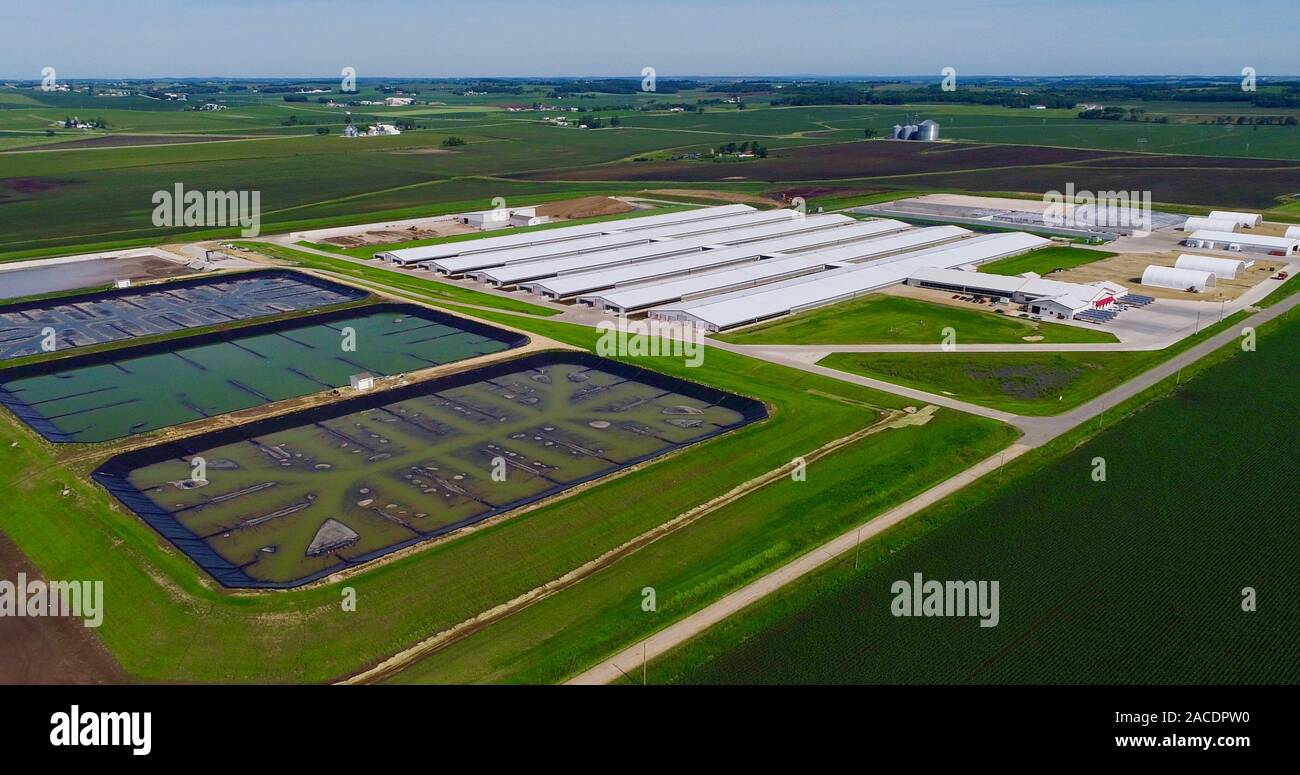 Aerial view of Confined or Concentrated Animal Feeding Operation (CAFO ...