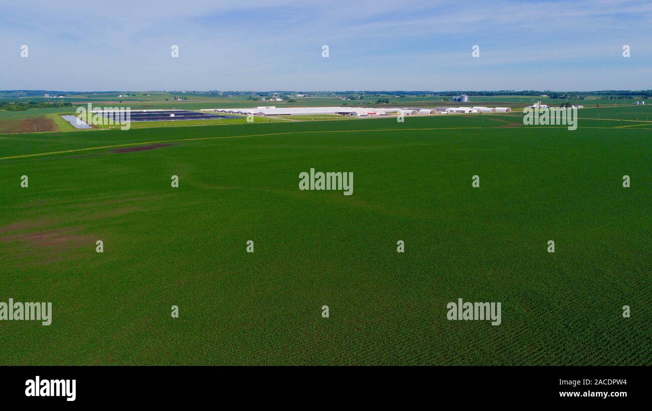 Aerial view of Confined or Concentrated Animal Feeding Operation (CAFO