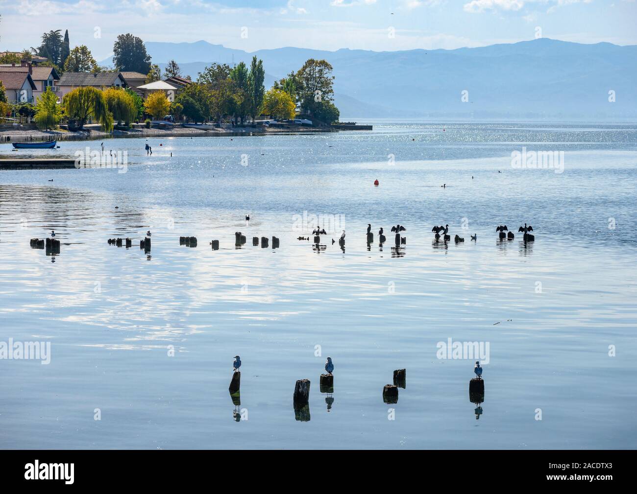 Looking across Lake Ohrid from Peshtani in North Macedonia, with Albania in the distance, North Macedonia,  Europe. Stock Photo