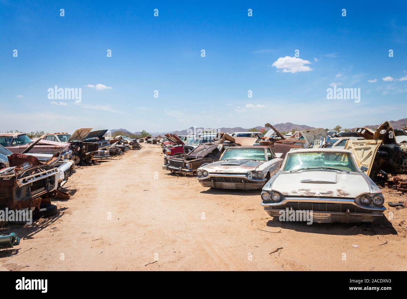 abandoned rusty cars and trucks in a junk yard in the desert near