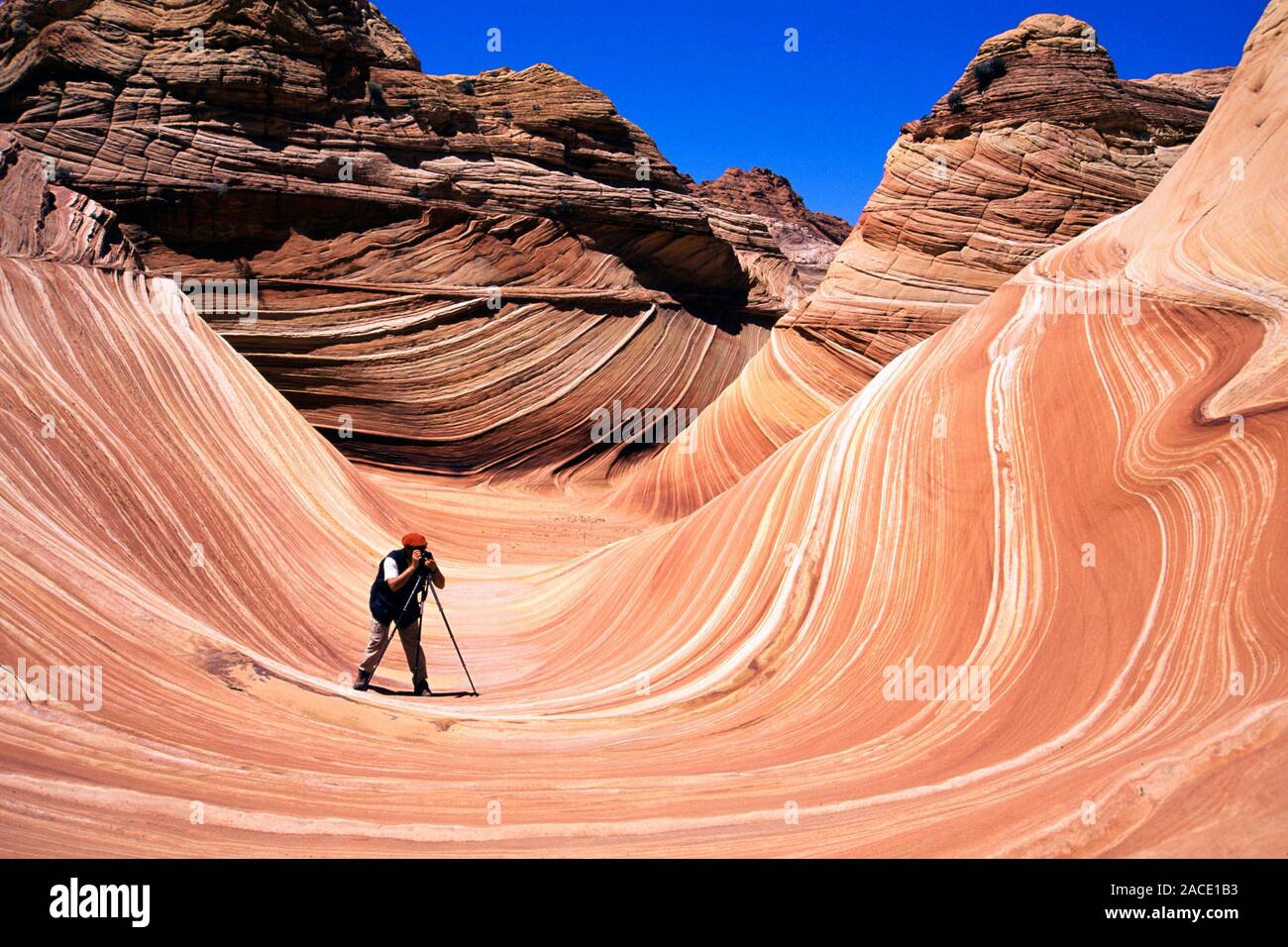 USA, Arizona, The Wave, Die Welle, Arizona, USA, Paria Wildernes