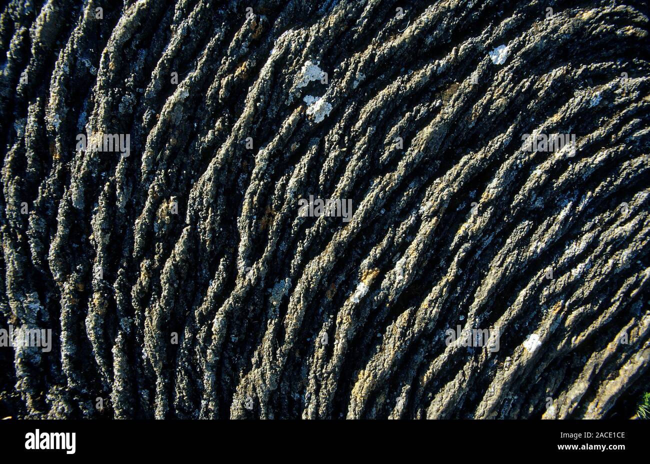 Island, Reisen, Lava, Stricklava, Lavastrom, erkaltet, Island, Krafla-Gebiet, Thingvellir National Park, Muster.   e: Travel, Lava, Island, black, col Stock Photo