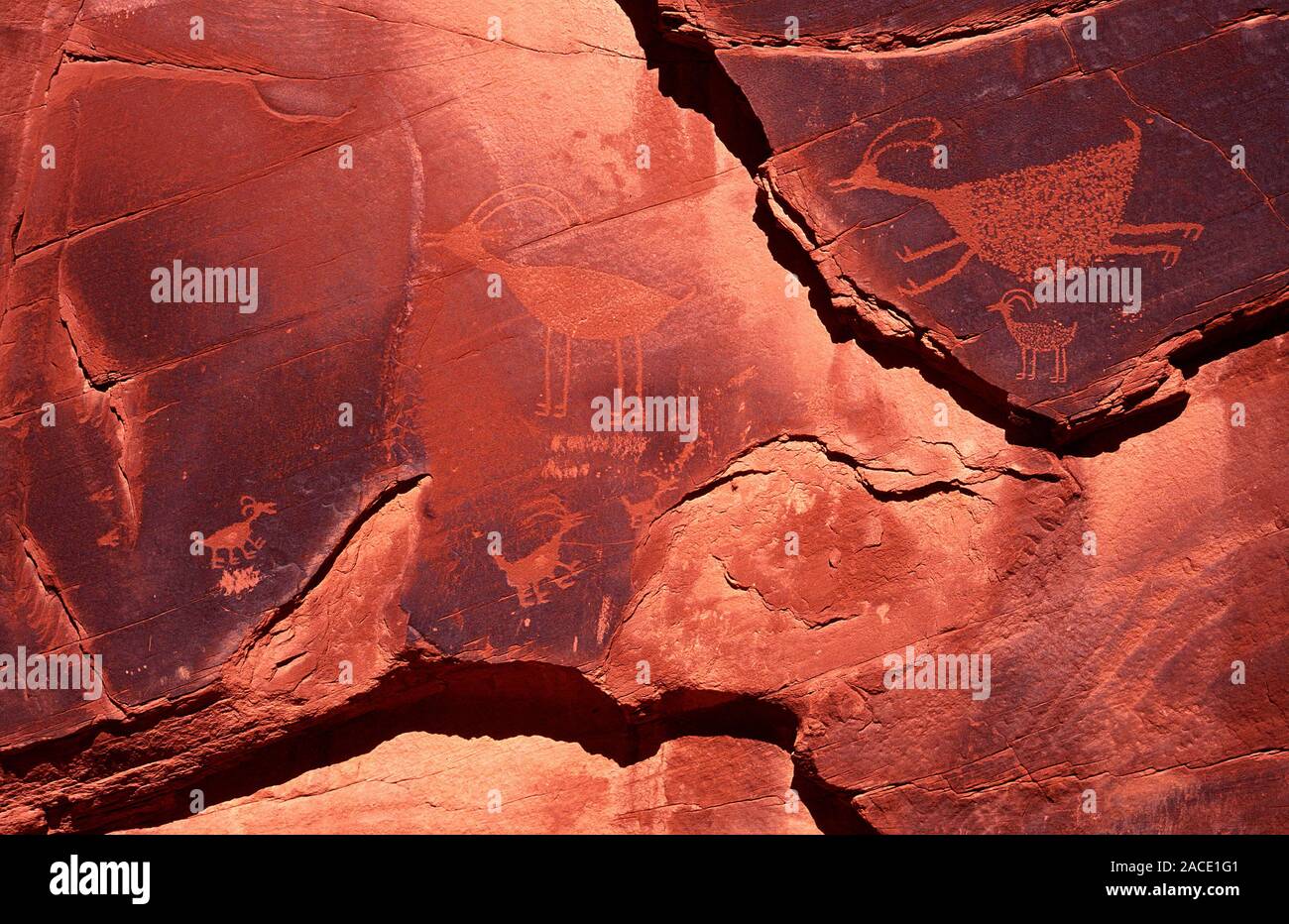 Geografie, Reisen, Felsenlandschaft, Monument Valley NP, Felszeichnungen, Felsen, Schriftzeichen, Sandstein, Arizona, USA.  Geography, Travel, Sandsto Stock Photo