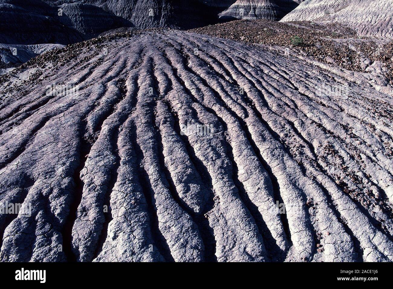Lava, Basalt , Muster, Island Stock Photo