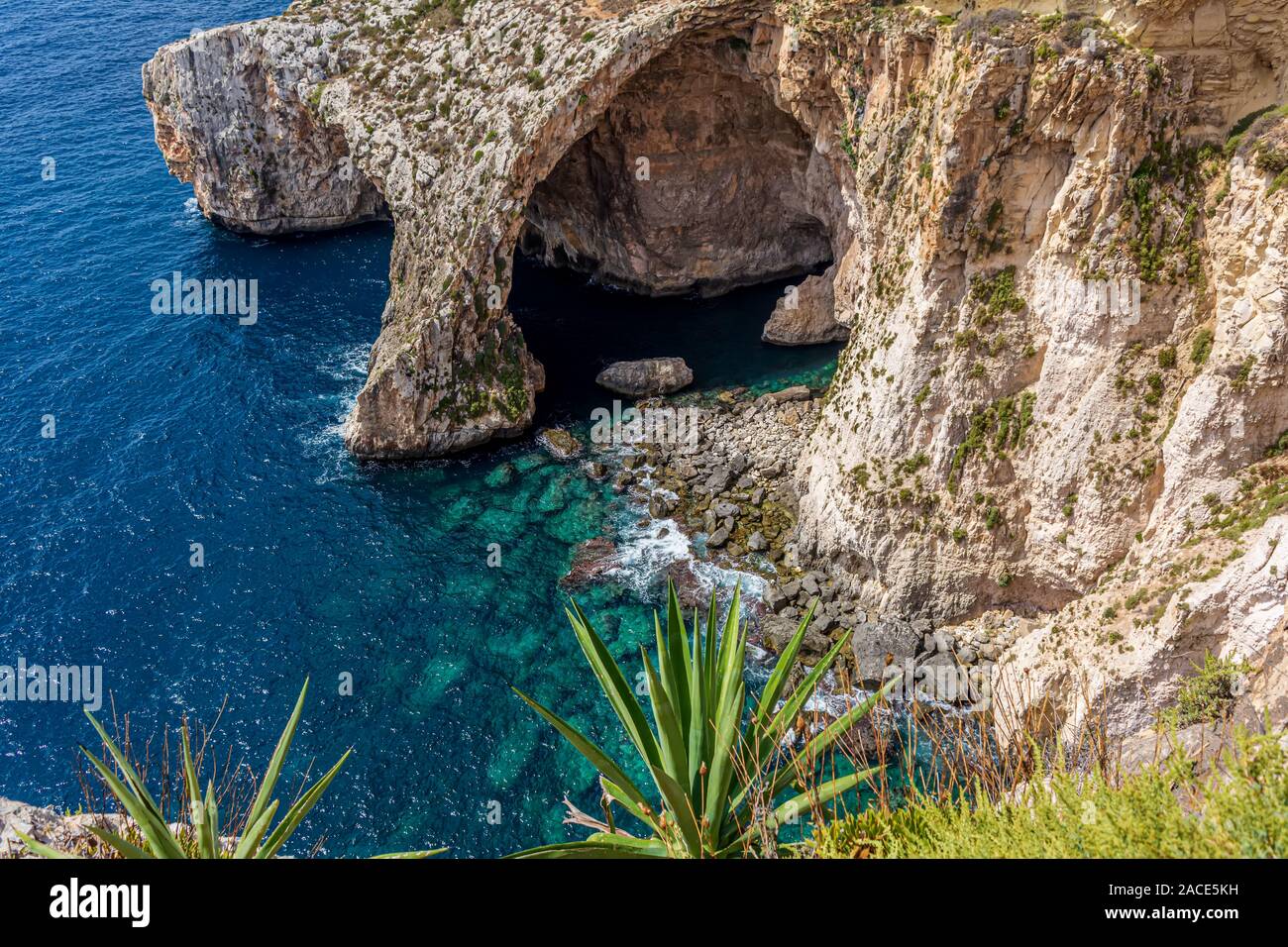 Natural stone arch of Blue Grotto and sea caverns in Malta, with agave plant in foreground. Blue Grotto seascape. Stock Photo
