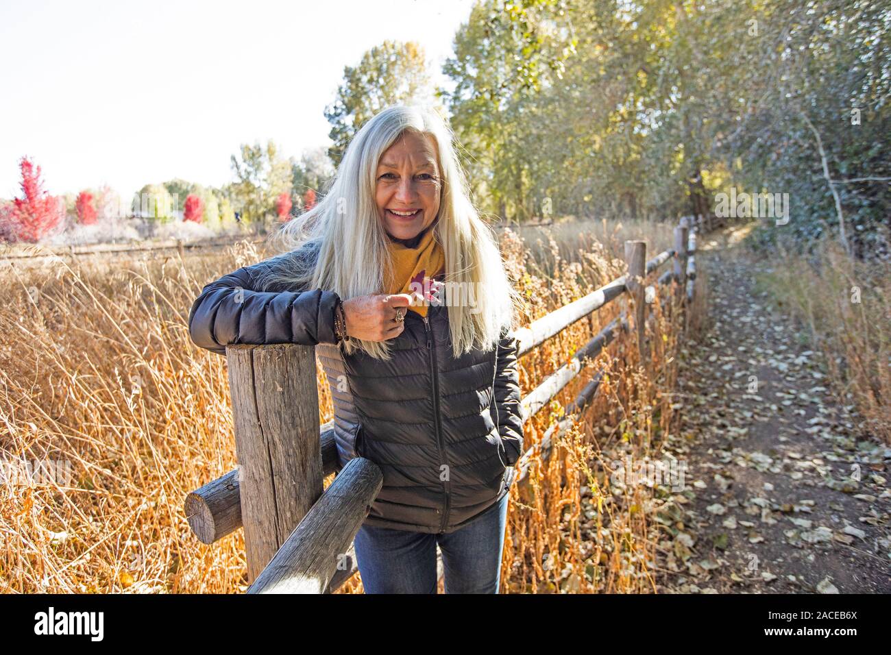 Woman holding leaf leaning on wooden fence in Bellevue, Idaho, USA Stock Photo