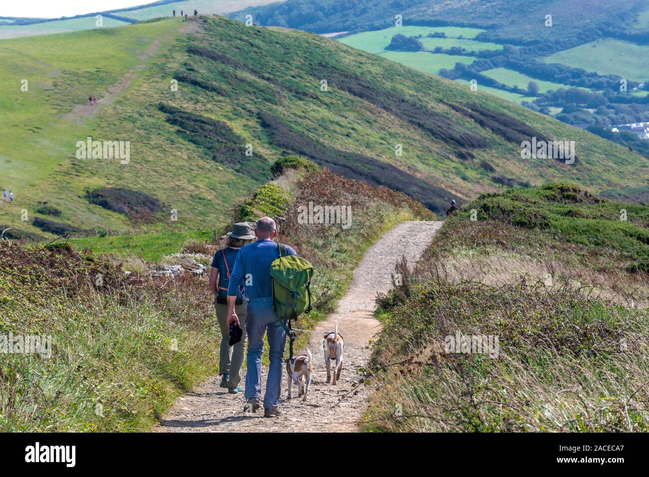 Walkers with backpack and two dogs walking on Baggy Point, Croyde, Nr. Braunton, North Devon, England,  UK Stock Photo