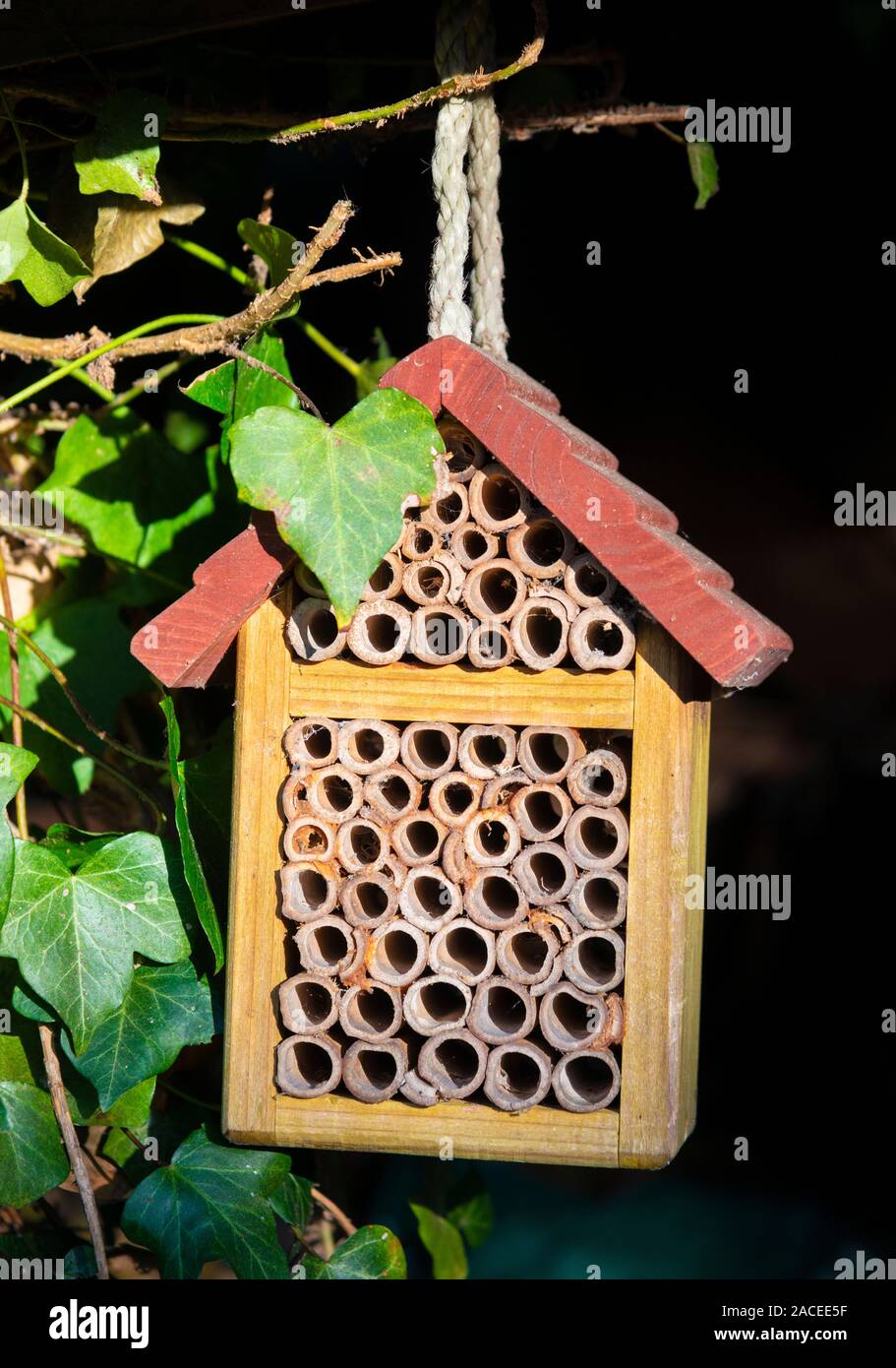 Hanging garden insect and bee house or hotel in Berkshire garden, England, UK Stock Photo