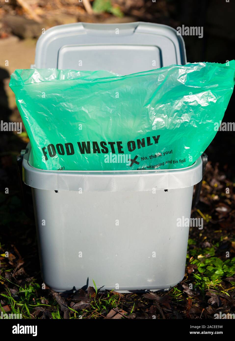 Food waste only recycling bin together with green bag supplied by Council.  Reading, Berkshire, England, UK Stock Photo