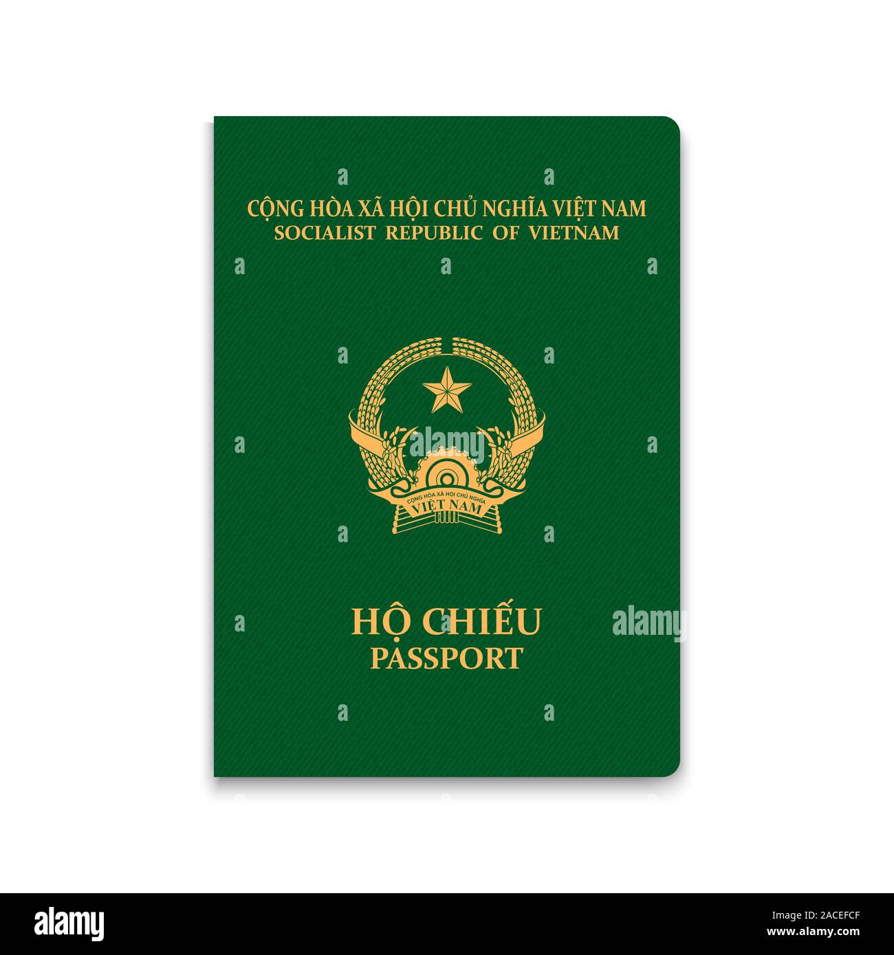 Passport of Vietnam. Vector illustration Stock Vector