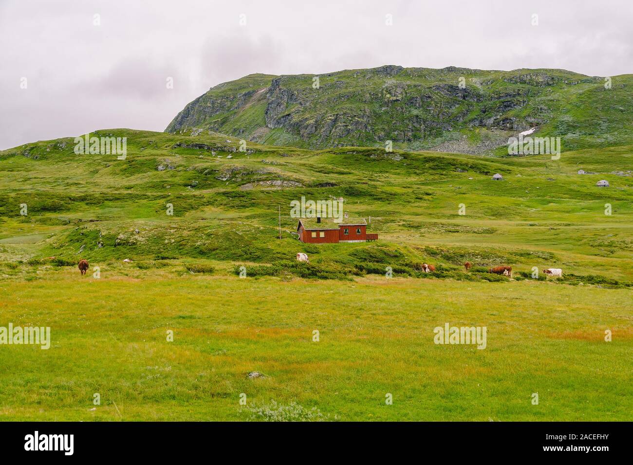hut wooden mountain huts in mountain pass Norway. Norwegian landscape