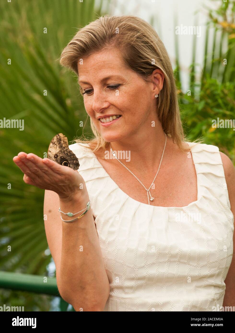 sophie-countess-of-wessex-at-the-butterfly-dome-in-the-plant-heritage-marquee-at-the-hampton-court-flower-show-in-2013-2ACEM0A.jpg