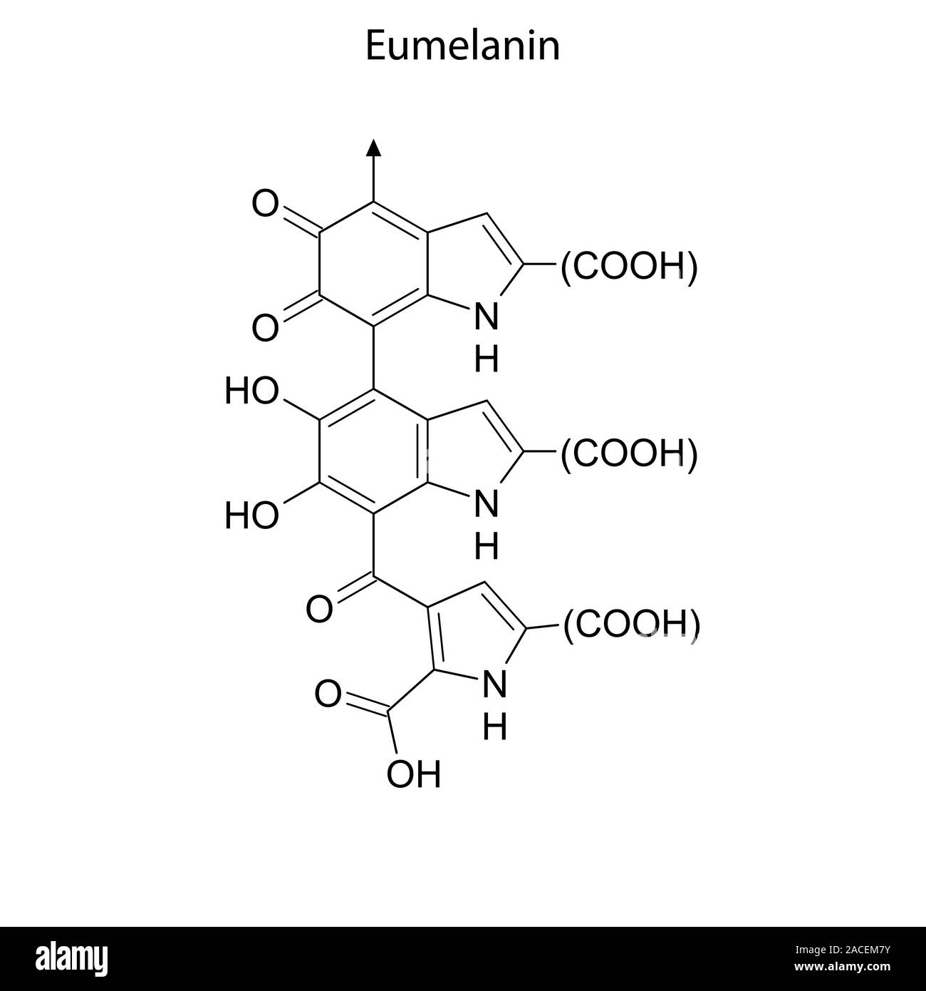 Skeletal formula of Eumelanin. Chemical molecule Stock Vector Image ...