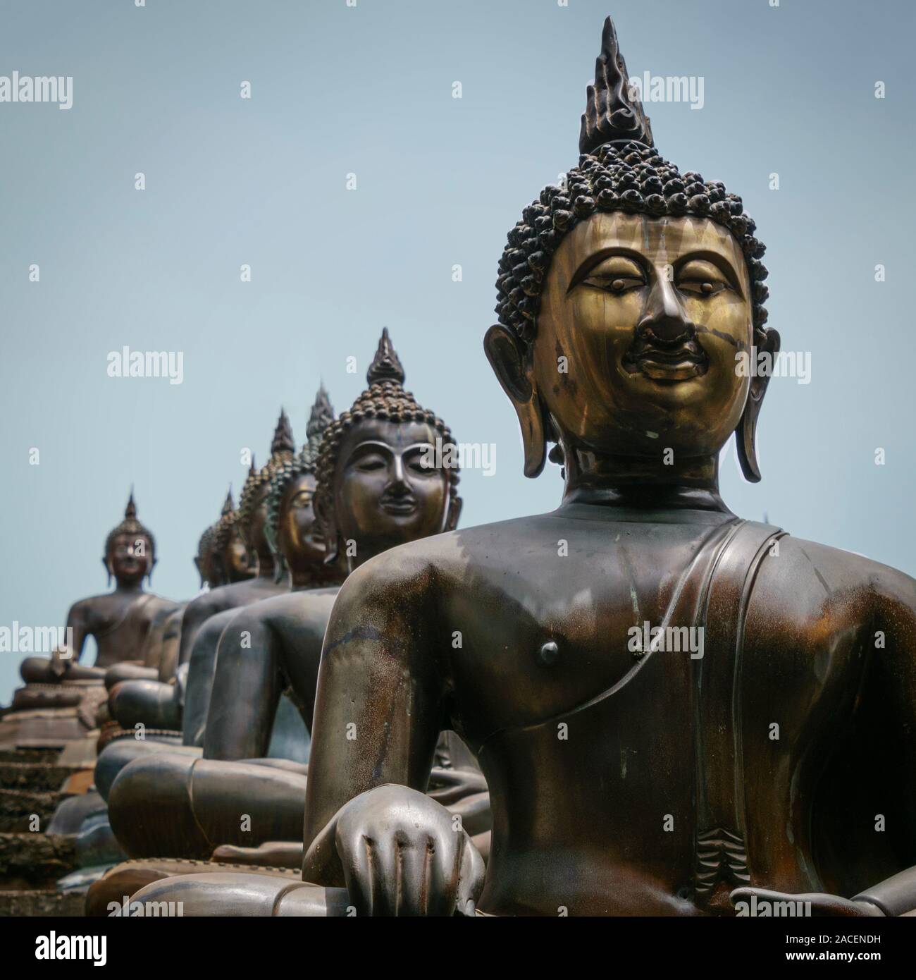 Sri Lanka, Colombo - August 2015: Lines of Bhudda statues at the  Gangaramaya Temple Stock Photo